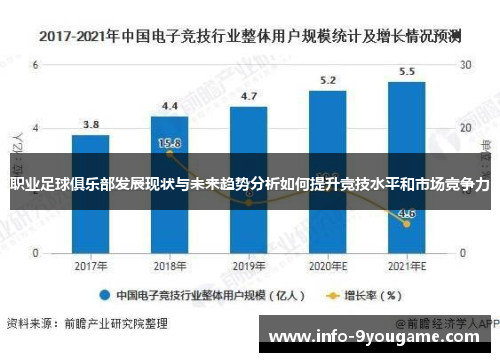 职业足球俱乐部发展现状与未来趋势分析如何提升竞技水平和市场竞争力