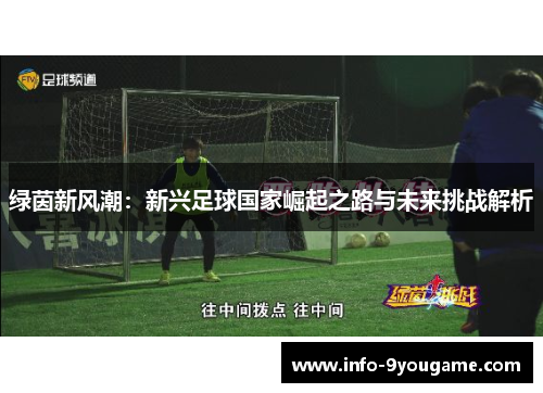 绿茵新风潮：新兴足球国家崛起之路与未来挑战解析
