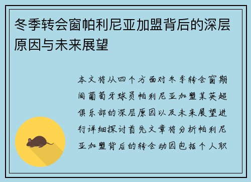 冬季转会窗帕利尼亚加盟背后的深层原因与未来展望