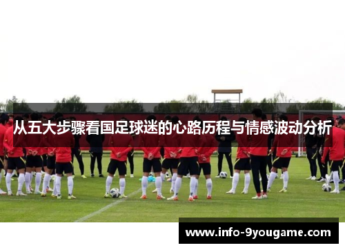 从五大步骤看国足球迷的心路历程与情感波动分析